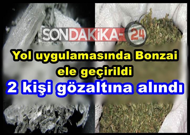 Yol uygulamasında Bonzai ele geçirildi