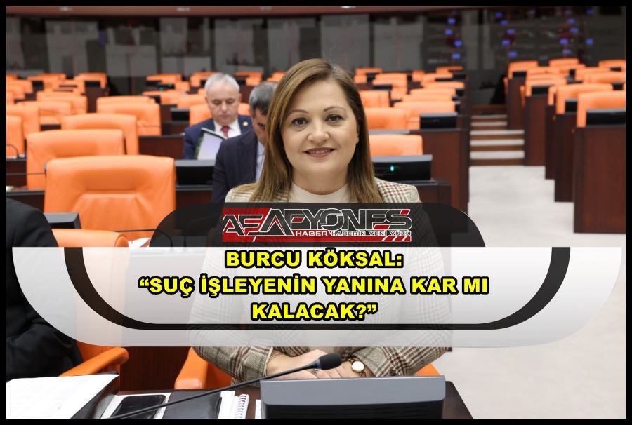 Burcu Köksal: “Suç işleyenin yanına kar mı kalacak”